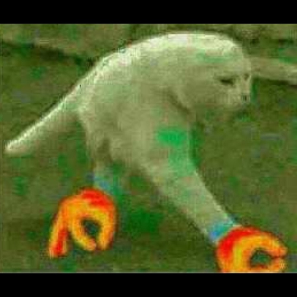 Meet your Posher, Pear